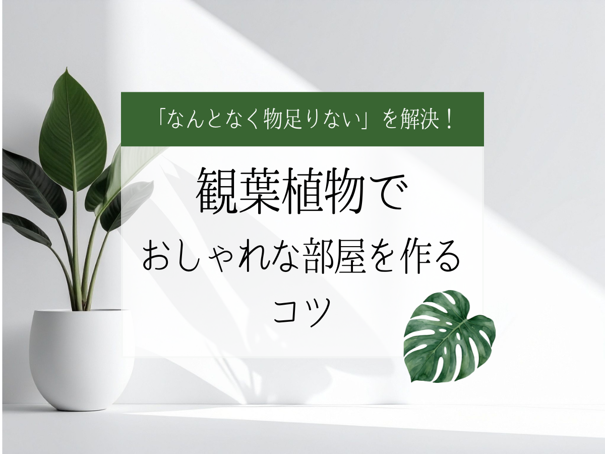 「なんとなく物足りない」を解決！植観葉物でおしゃれな部屋を作るコツ 写真