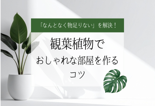 「なんとなく物足りない」を解決！植観葉物でおしゃれな部屋を作るコツ アイキャッチ画像